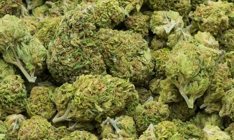 Image of ganja