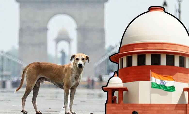 Supreme Court stray dogs
