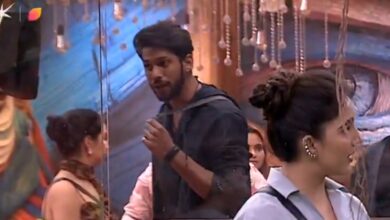 Bigg Boss 19 contestants