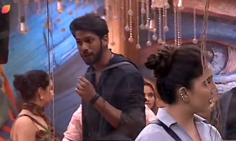 Bigg Boss 19 contestants