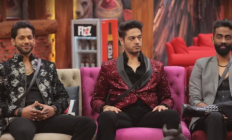 Bigg Boss 19 contestants