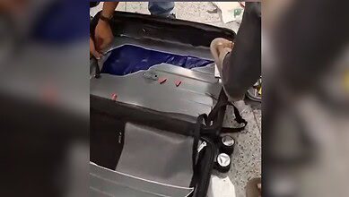 Hydroponic weed seized at Hyderabad airport