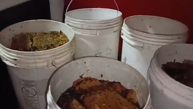 Adulterated honey racket busted in Hyderabad