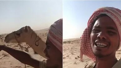 Indian man appears in a desert with a camel in the background while recording a video plea for help.
