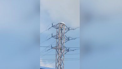 Man climbs electric pole in Hyderabad