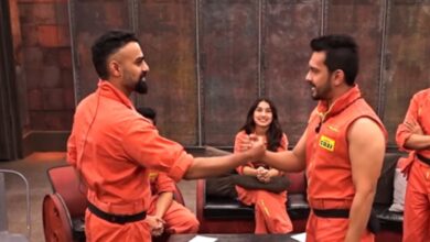 Rise and Fall contestants