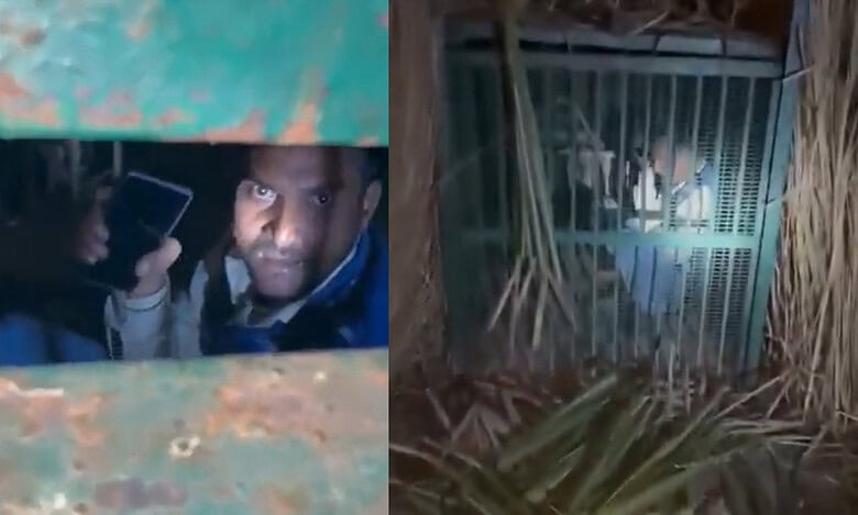 Drunk UP man stuck in Leopard cage