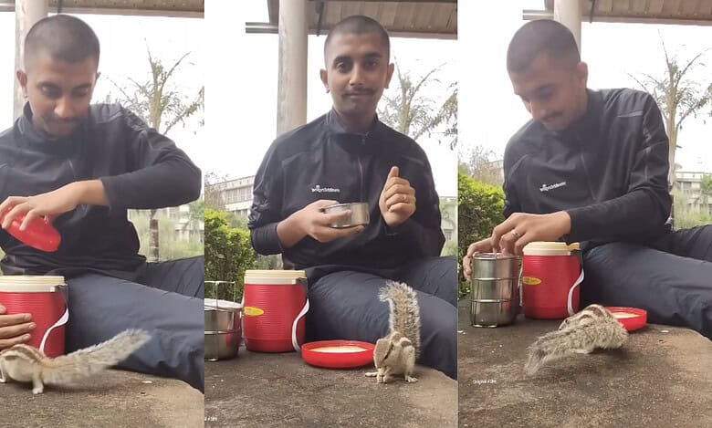 Man shares lunch with squirrels in an adorable moment