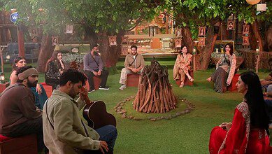 Bigg Boss 19 contestants