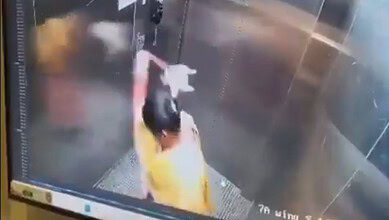 dog kill in banglore