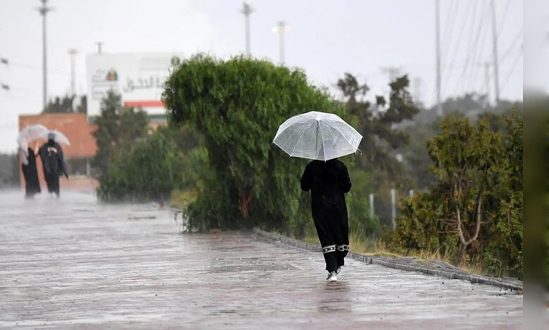 A woman walks along a rain-soaked pathway holding a transparent umbrella, while two others with umbrellas stand in the background during heavy rainfall.