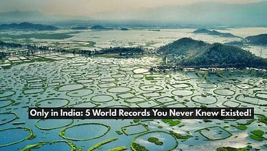 Keibul Lamjao: The World’s Only Floating National Park