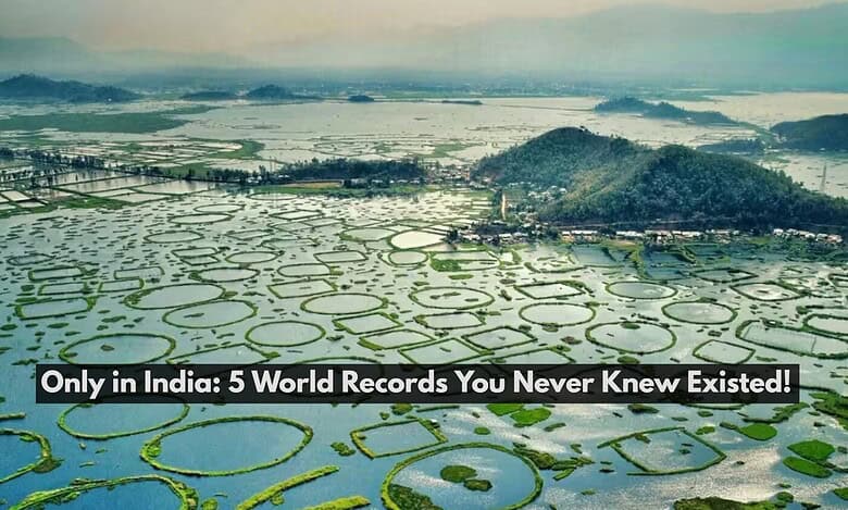 Keibul Lamjao: The World’s Only Floating National Park