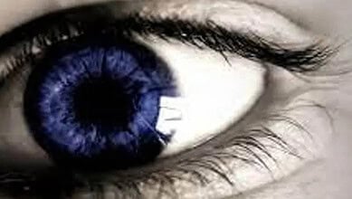 Eye