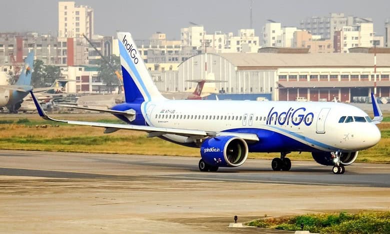 Indigo