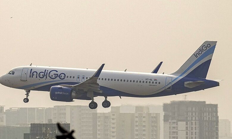 Indigo