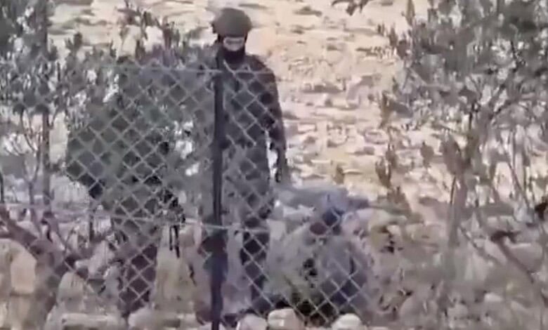 Israeli soldiers assault a Palestinian man