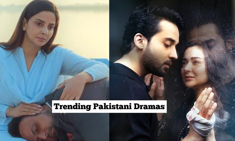 Pamaal and Meri Zindagi Hai Tu