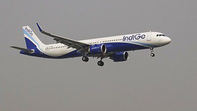 indigo