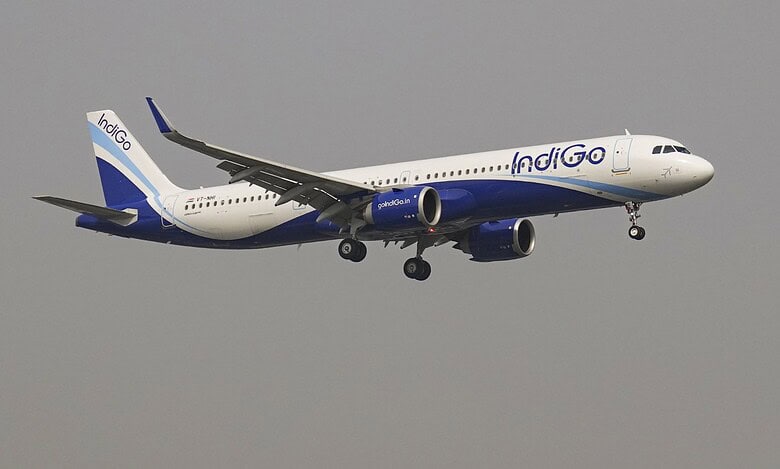 indigo