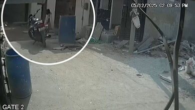 stray dog attack
