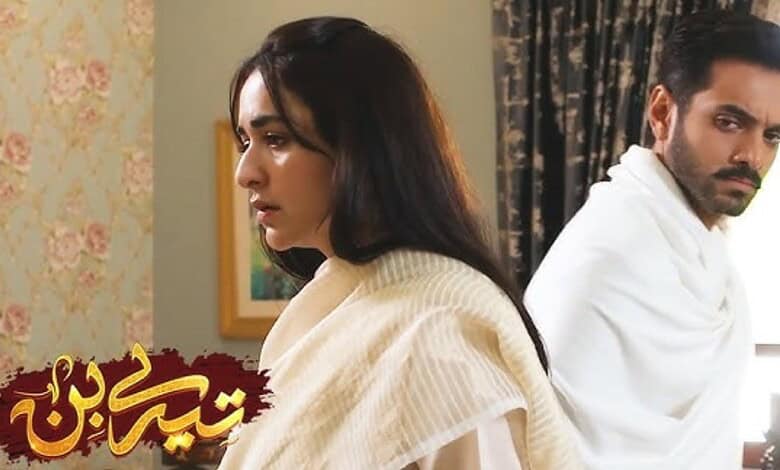 Tere Bin stars Wahaj Ali and Yumna Zaidi