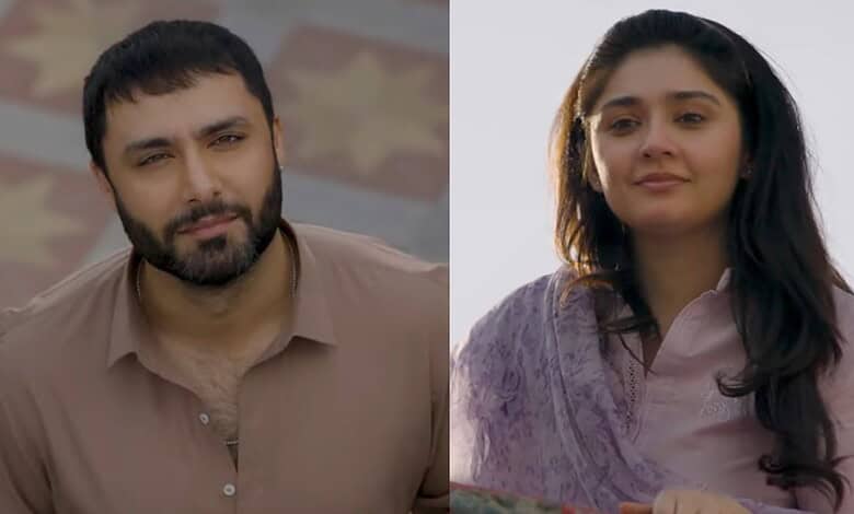 Ahmed Ali Akbar as Sanwal and Dur-e-Fishan Saleem as Piya
