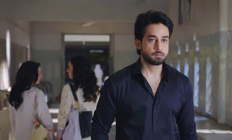 Pakistani drama Meri Zindagi Hai Tu