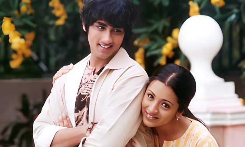 Indian cinema