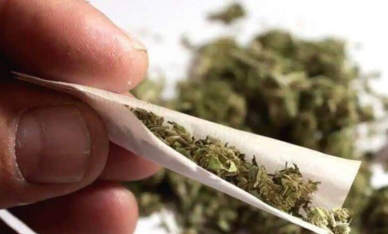 ganja