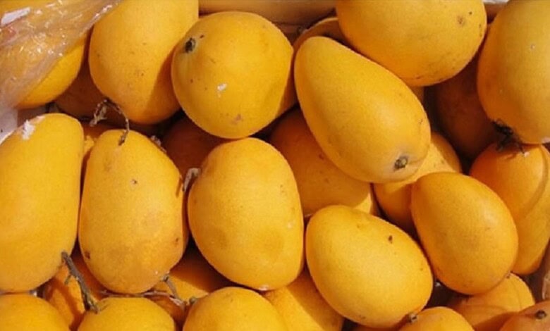 mangoes