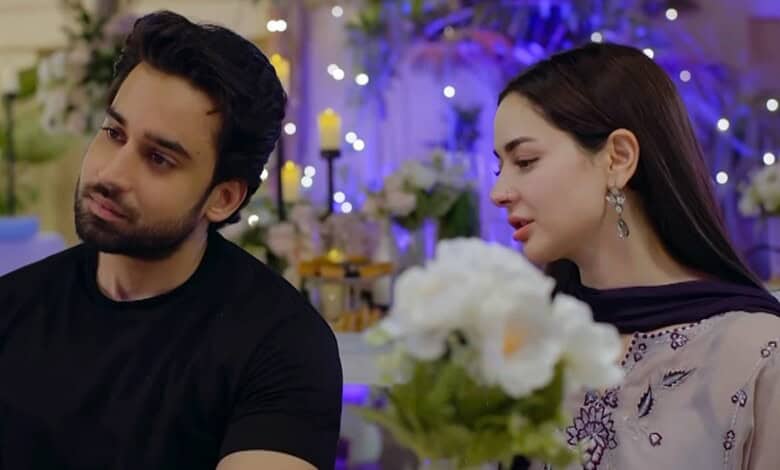 Meri Zindagi Hai Tu stars Bilal Abbas Khan and Hania Aamir