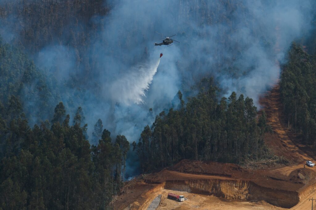 Chile wildfires