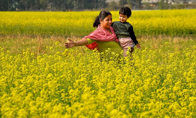 A woman with a child stroll in a mustard field, ahead of the presentation of the Union Budget 2026-27 by Union Finance Minister Nirmala Sitharaman, in Baksa, Assam