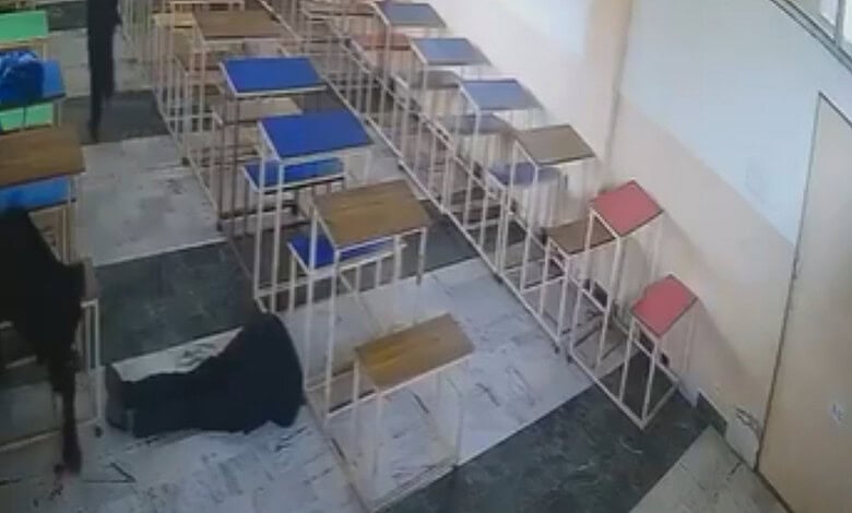 Punjab first year law student shoots classmate and himself