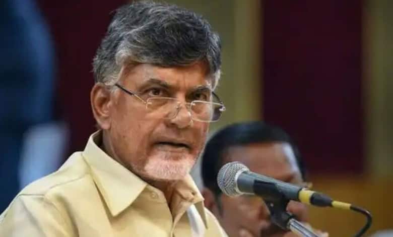 Andhra Pradesh Chief Minister N Chandrababu Naidu