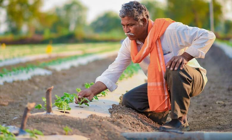 Farmers neglected by government