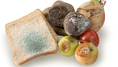 Hyderabad police inspector leading anti-food adulteration team with contaminated produce.