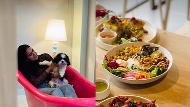foodie