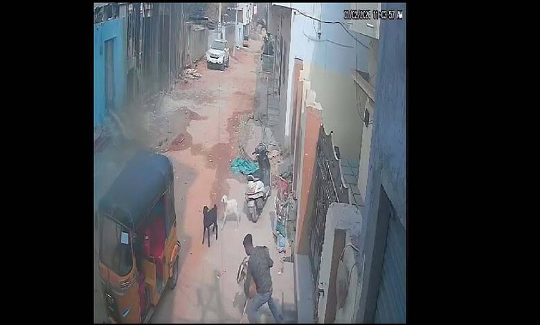 Man steals a goat in Hyderabad