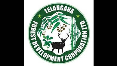 Telangana TFDC logo featuring a deer, bamboo, and leaves, promoting nature and environmental conservation.
