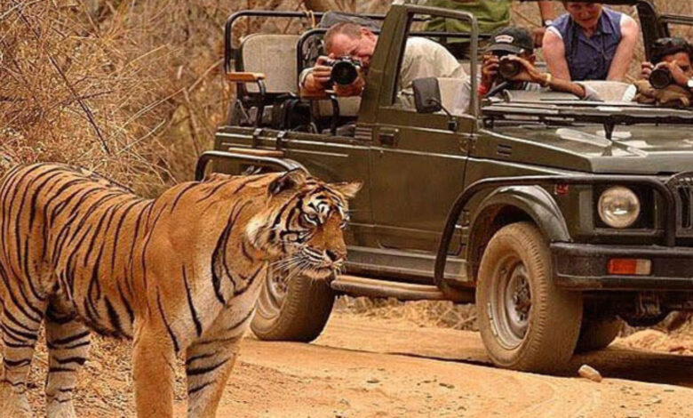 Tadoba National Park in Maharashtra