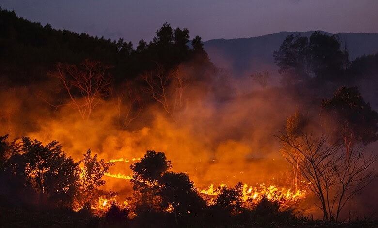 Drones controlling summer forest fires in Telangana to prevent damage and ensure safety.