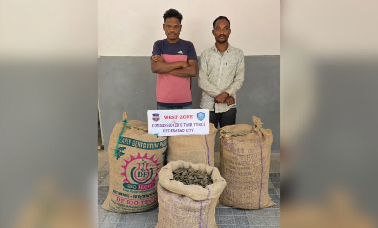 Two drug peddlers arrested with 70 kg ganja
