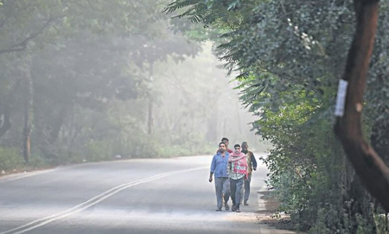 Hyderabad to witness one last cold spell