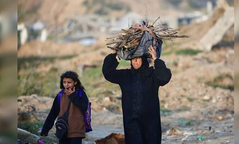 Child carrying firewood in Gaza amid conflict, illustrating humanitarian issues in the West Bank.