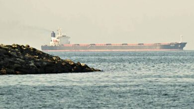 China ships pass Strait of Hormuz