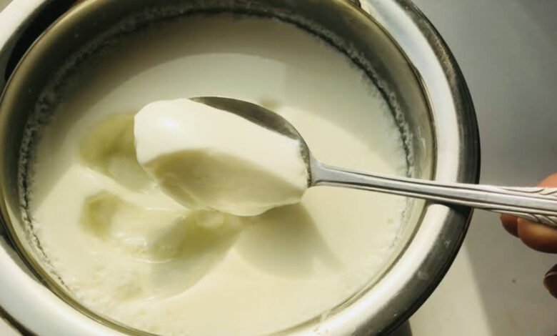 contaminated curd