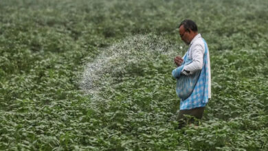 India China urea
