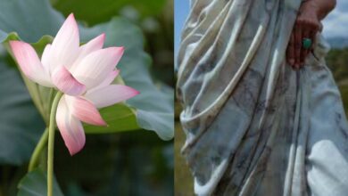 lotus fabric